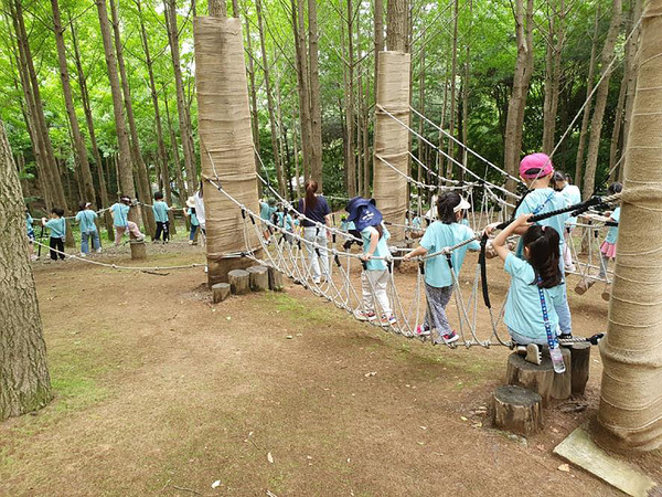 ▲ 성남시 산림복지 프로그램의 하나로 지난해 6월 산성공원에서 진행 중인 유아 숲 체험 ‘안녕 나의 친구’